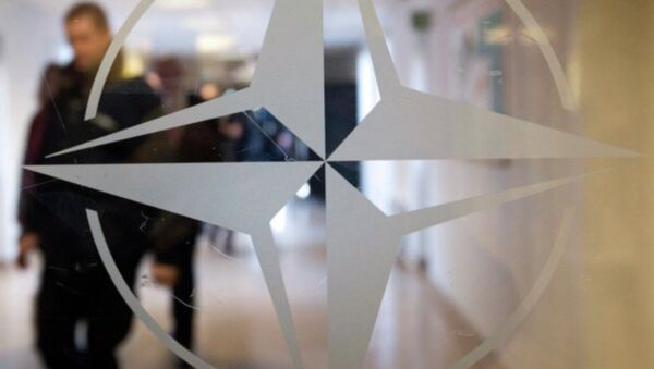 للمزيد حول الموضوع، اقرأ: الناتو يواجه أزمة - سبوتنيك عربي