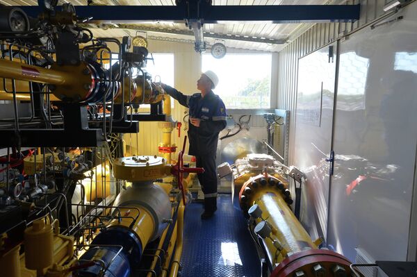 أحد العمال فى مصنع للغاز - سبوتنيك عربي