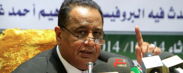 إبراهيم غندور - سبوتنيك عربي