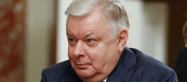 رئيس دائرة الهجرة الروسية  قسطنطين رومودانوفسكي - سبوتنيك عربي