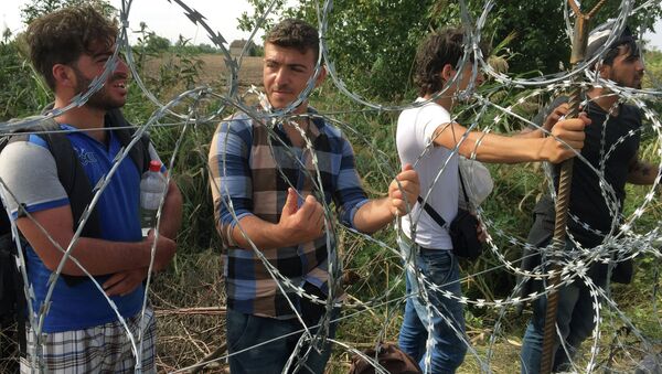 على الحدود بين المجر وصربيا - سبوتنيك عربي