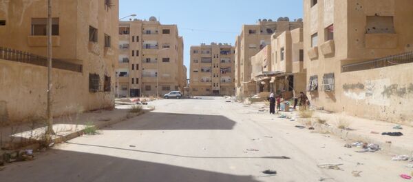 الحسينية في ريف دمشق - سبوتنيك عربي