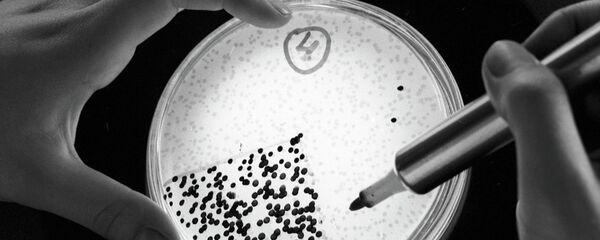 بكتيريا - سبوتنيك عربي