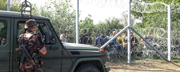 الحدود بين صربيا وهنغاريا - سبوتنيك عربي