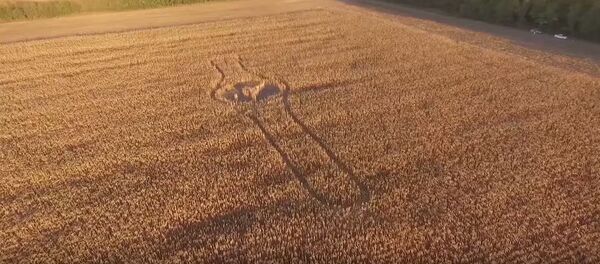 إشارات غريبة إشارات غريبة - سبوتنيك عربي