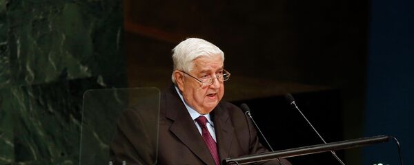 وزير الخارجية السوري وليد المعلم - سبوتنيك عربي