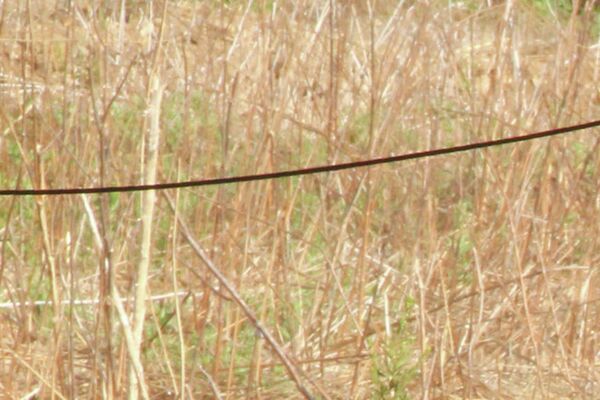 العسكريون الروس يعدون الطائرات للقتال العسكريون الروس يعدون الطائرات للقتال - سبوتنيك عربي