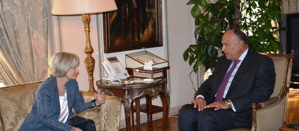 مصر وفرنسا - سبوتنيك عربي