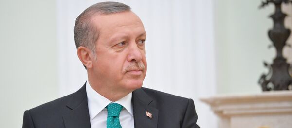 رجب طيب اردوغان رجب طيب اردوغان - سبوتنيك عربي