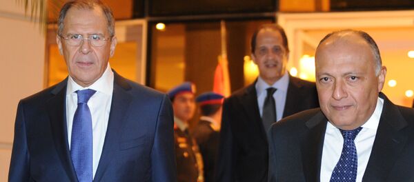 وزيرا خارجية روسيا ومصر سيرغي لافروف وسامح شكري وزيرا خارجية روسيا ومصر سيرغي لافروف وسامح شكري - سبوتنيك عربي