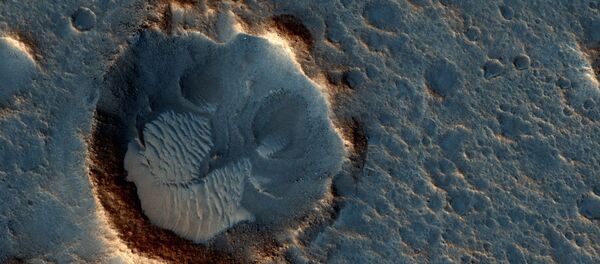 صورة من على سطح كوكب المريخ - سبوتنيك عربي