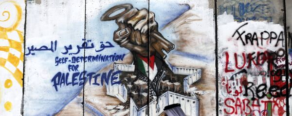 فلسطين - سبوتنيك عربي