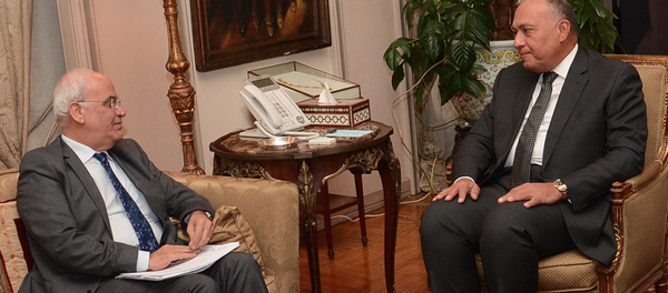 سامح شكري و عريقات - سبوتنيك عربي