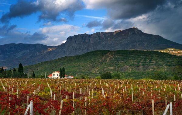 فصل الخريف في القرم - سبوتنيك عربي