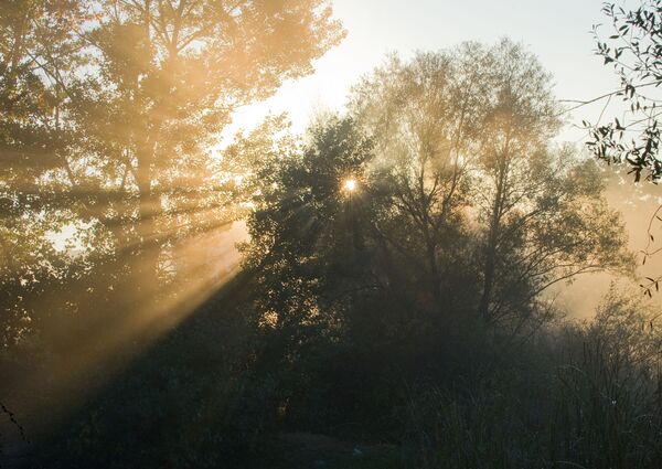 فصل الخريف في القرم - سبوتنيك عربي