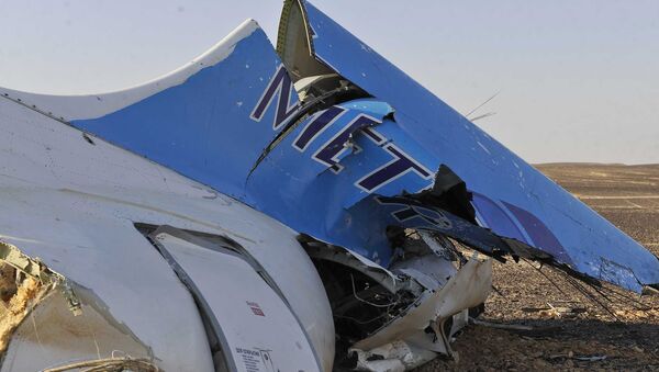 This image released by the Prime Minister's office shows the tail of a Metrojet plane that crashed in Hassana Egypt, Friday, Oct. 31, 2015 - سبوتنيك عربي