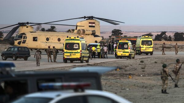 حادث تحطم الطائرة الروسية في سيناء - سبوتنيك عربي