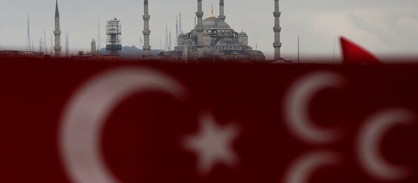 تركيا - سبوتنيك عربي