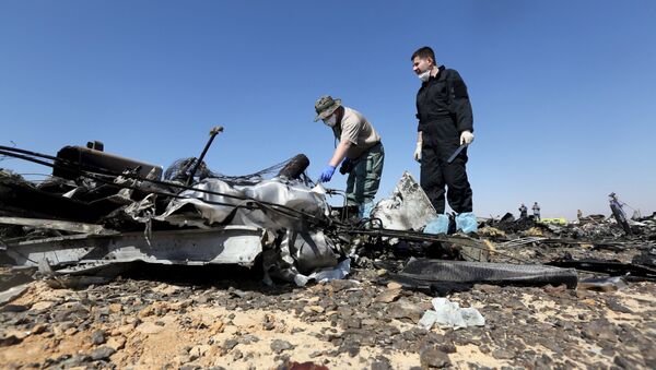 مكان سقوط الطائرة الروسية في سيناء - سبوتنيك عربي