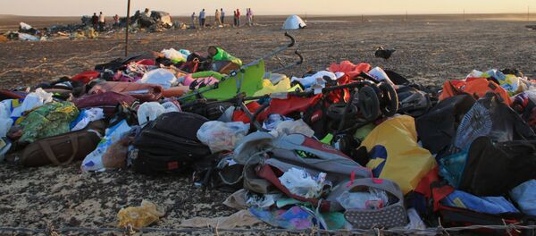 تحطم الطائرة الروسية - سبوتنيك عربي