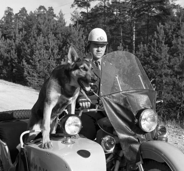 عيد الشرطة الروسية: يحيا القانون والنظام - سبوتنيك عربي