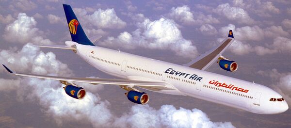 طائرة مصرية - سبوتنيك عربي