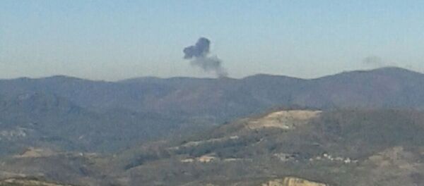 حادث طائرة عسكرية روسية في سوريا - سبوتنيك عربي