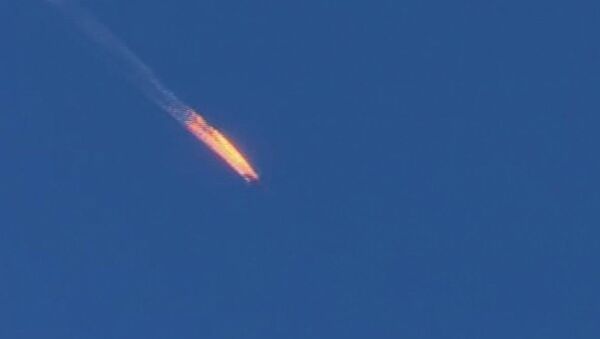 سقوط طائرة مشتعلة - سبوتنيك عربي