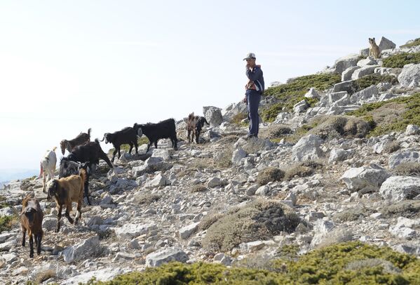 الفردوس المفقود: سوريا قبل الحرب الأهلية عام 2011 الفردوس المفقود: سوريا قبل الحرب الأهلية عام 2011 - سبوتنيك عربي