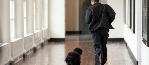 باراك أوباما وكلبه بو - سبوتنيك عربي