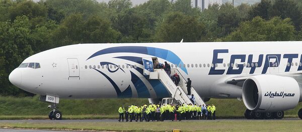 الخطوط الجوية المصرية - سبوتنيك عربي
