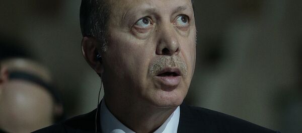 رجب طيب اردوغان - سبوتنيك عربي