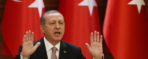 رجب طيب اردوغان - سبوتنيك عربي