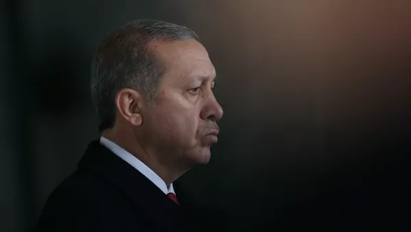 رجب طيب اردوغان - سبوتنيك عربي