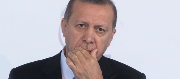 رجب طيب أردوغان رجب طيب أردوغان - سبوتنيك عربي