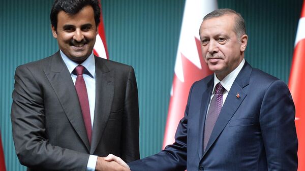 رجب طيب أردوغان مع أمير قطر تميم بن حمد آل ثاني - سبوتنيك عربي