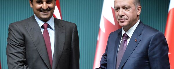 رجب طيب أردوغان مع أمير قطر تميم بن حمد آل ثاني - سبوتنيك عربي