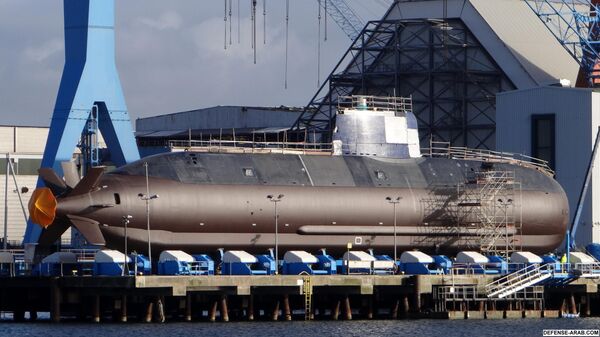 الغواصة الشبح دولفين - سبوتنيك عربي