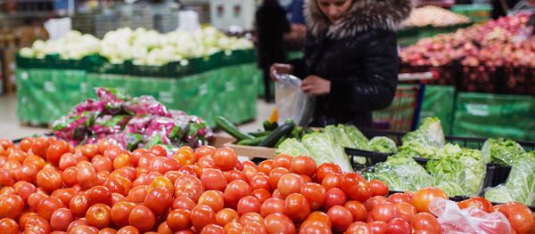 روسيا تضع قيودا على الاستيراد من تركيا - سبوتنيك عربي