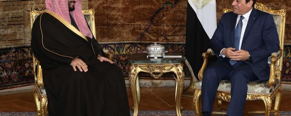 عبد الفتاح السيسي و محمد بن سلمان - سبوتنيك عربي