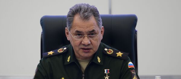 سيرغي شويغو - سبوتنيك عربي