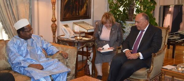 شكري ومبعوث الاتحاد الأفريقي إلى جنوب السودان - سبوتنيك عربي