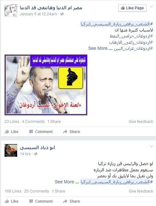 الشعب المصري يرفض - سبوتنيك عربي