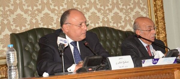 السياسة الخارجية المصرية - سبوتنيك عربي