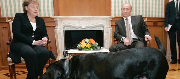 انجيلا ميركل وفلاديمير بوتين - سبوتنيك عربي