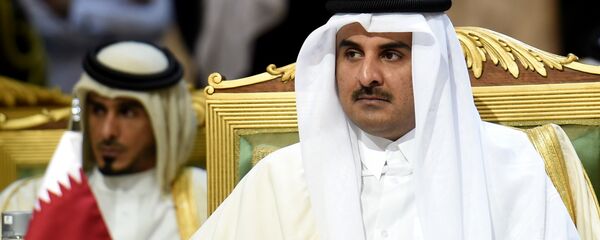 الشيخ تميم بن حمد آل ثاني أمير قطر - سبوتنيك عربي