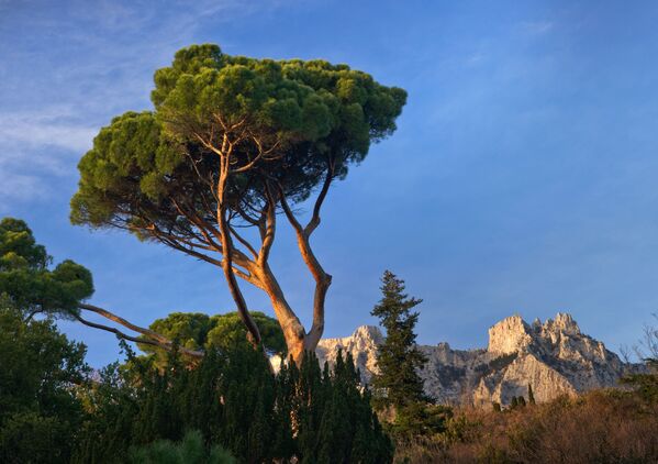 شهر يناير في القرم - سبوتنيك عربي