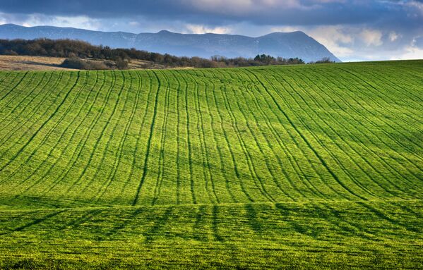 شهر يناير في القرم - سبوتنيك عربي