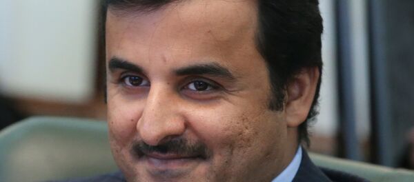 أمير قطر - سبوتنيك عربي