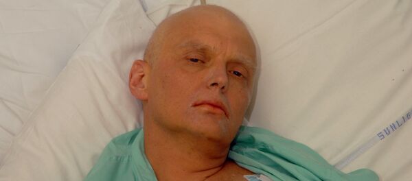 ألكسندر ليتفينينكو ألكسندر ليتفينينكو - سبوتنيك عربي